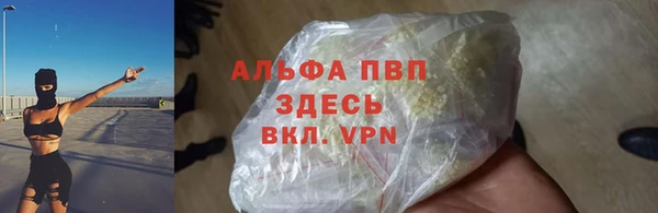 гашик Балахна