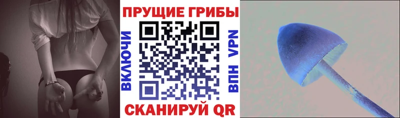 blacksprut tor где купить наркоту Лениногорск Галлюциногенные грибы GOLDEN TEACHER